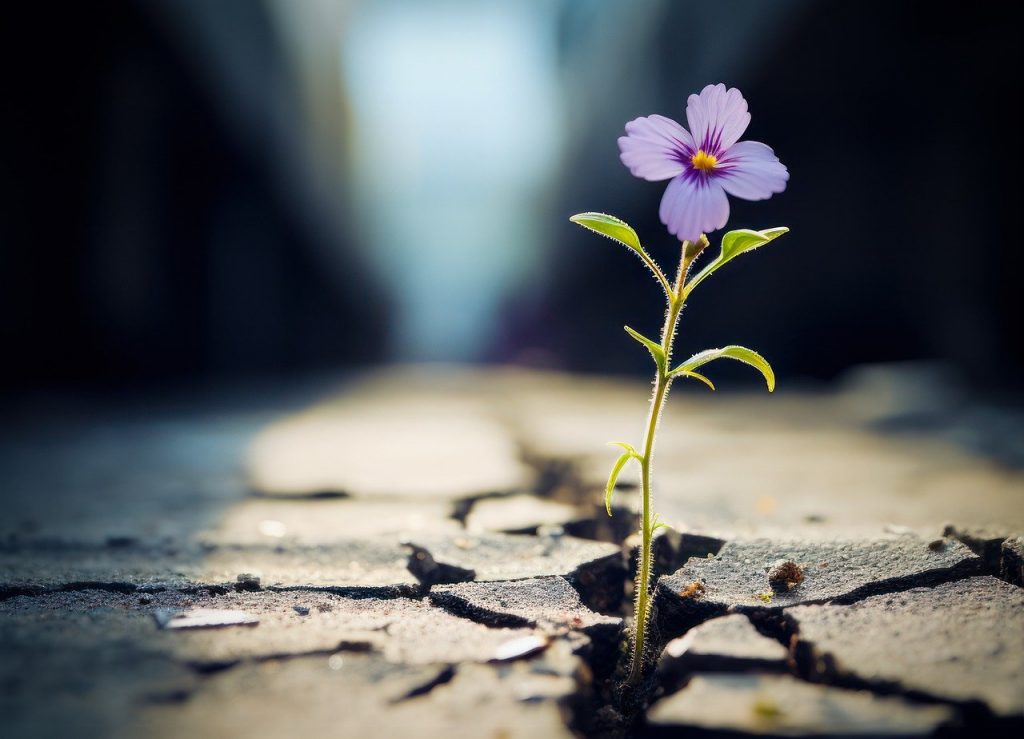Cultivating A Resilient Mindset In Times Of Adversity