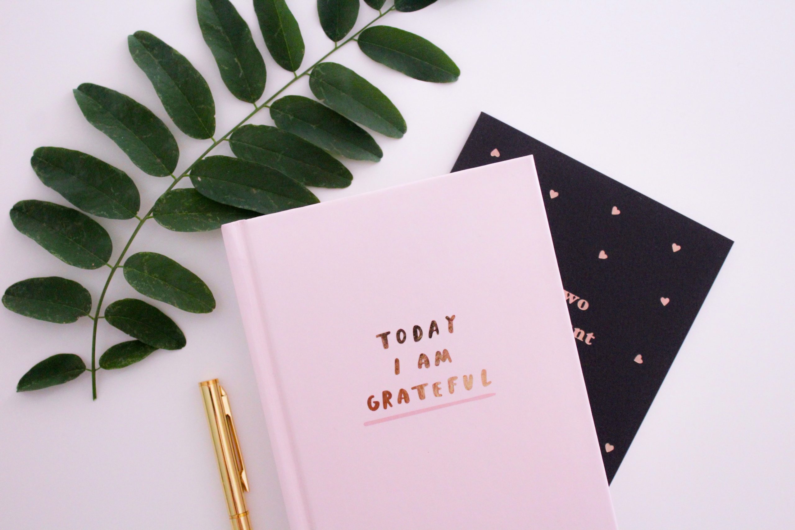 Incorporating Gratitude Into Your Daily Routine    Small Habits, Big Impact